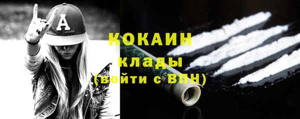 амф Верхний Тагил