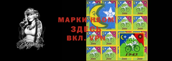 амф Верхний Тагил