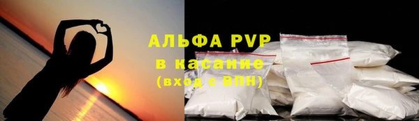 амф Верхний Тагил