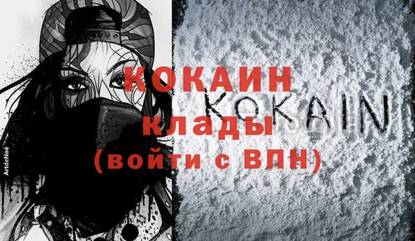 крисы Бородино