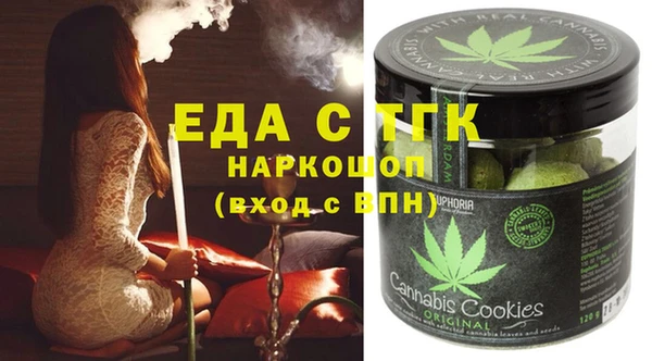 амф Верхний Тагил