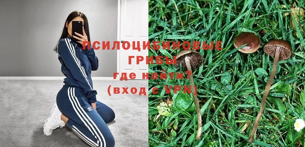 прущий лед Магас