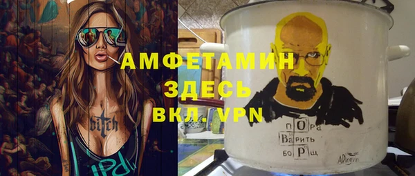 амф Верхний Тагил
