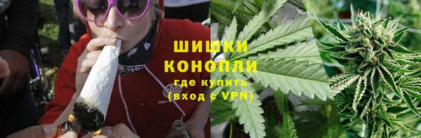 амф Верхний Тагил